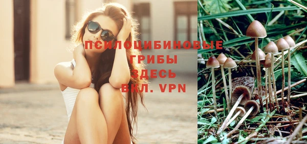 мдма Приозерск