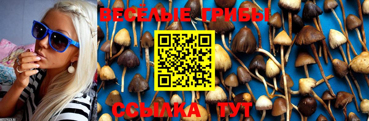Сальск  Псилоцибиновые грибы Magic Shrooms  Вход с VPN  Галлюциногенные грибы Psilocybine cubensis 
